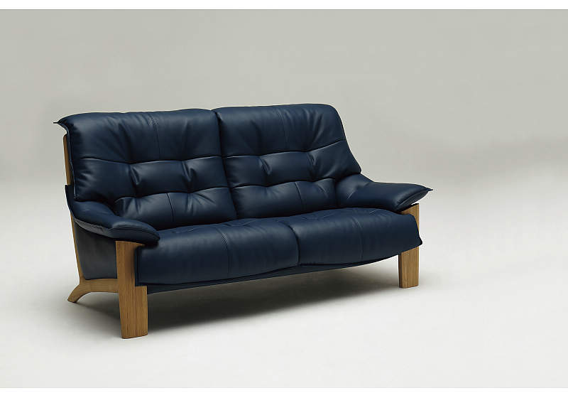 ２人掛椅子（大１６２０） ZU4912E570 | ソファー | 家具を探す 