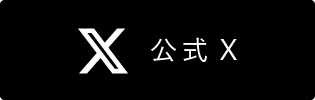 公式X